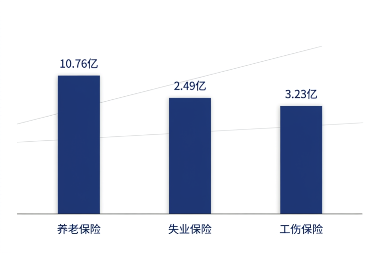 2026年上半年社保参保人数对比