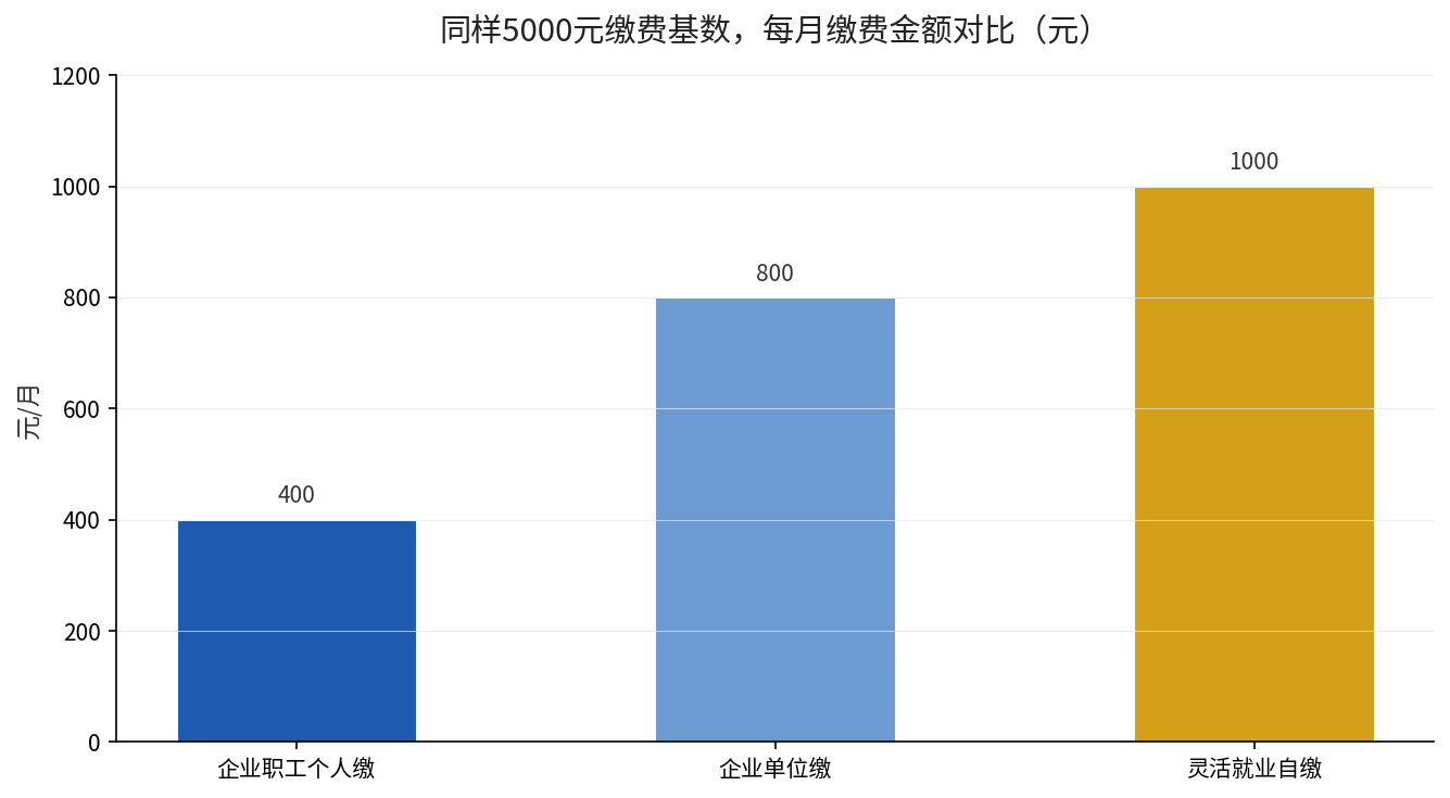 同样5000元缴费基数不同身份每月缴费金额对比