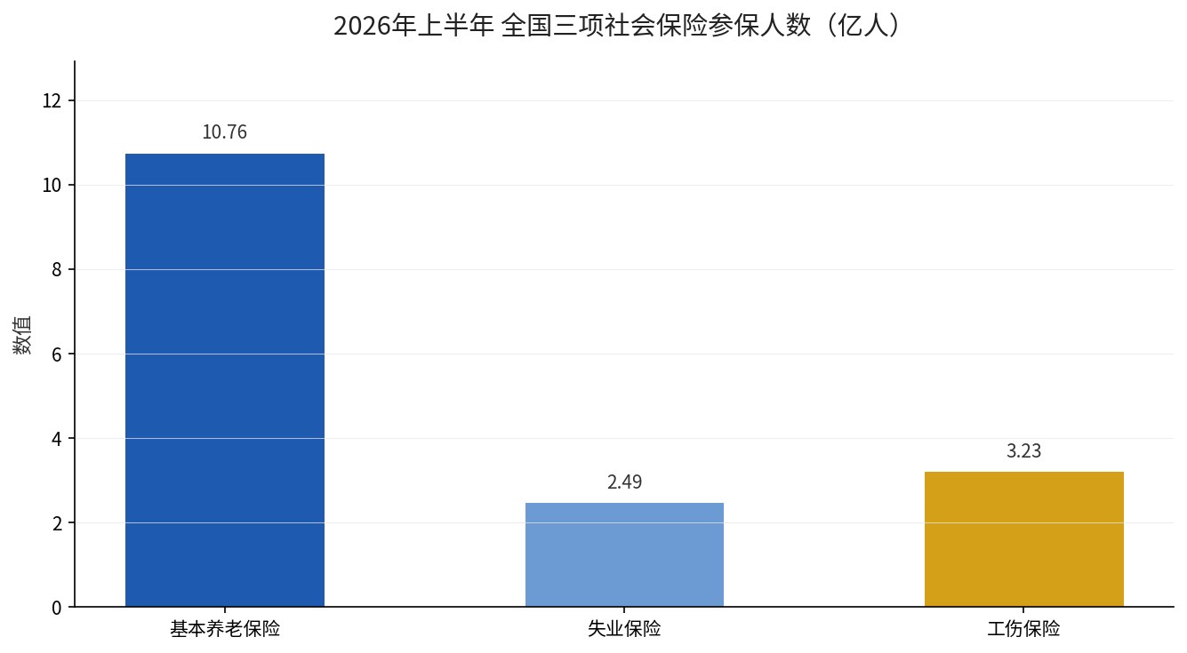 2026年上半年全国三项社会保险参保人数