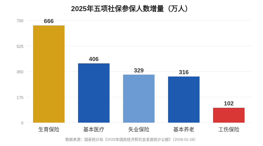 2025年五项社保参保人数增量对比