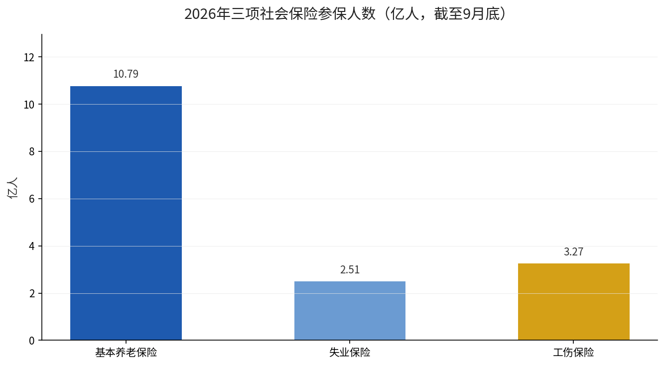 2026年三项社保参保人数与基金累计结余示意